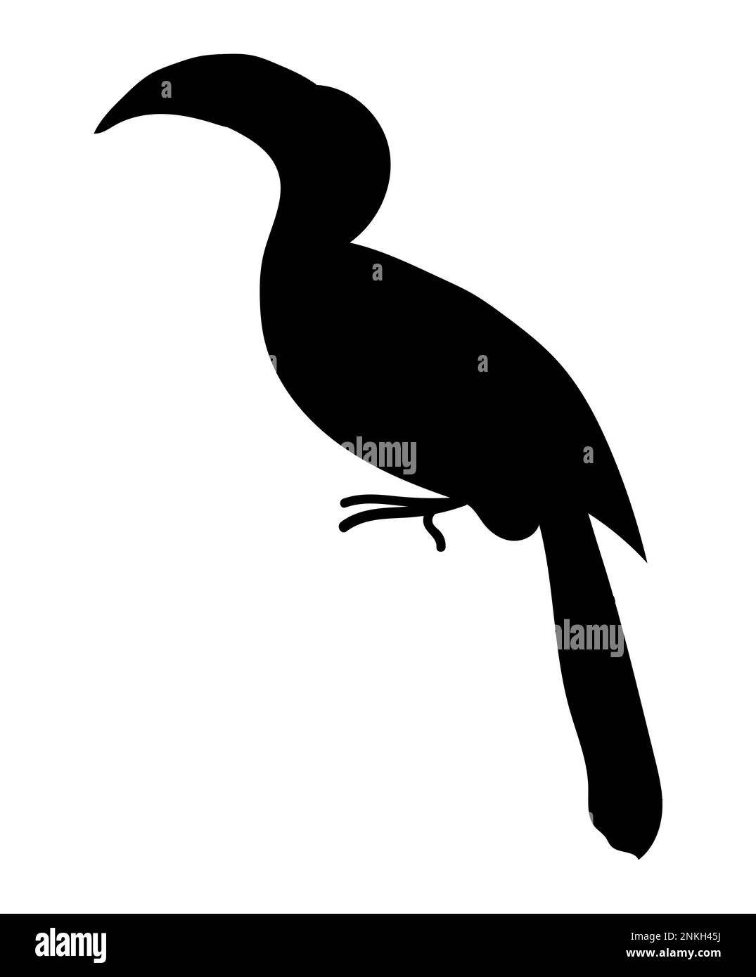 Black silhouette of Toucan toco, Ramphastos toco bird, vector stock illustration Stock Vector