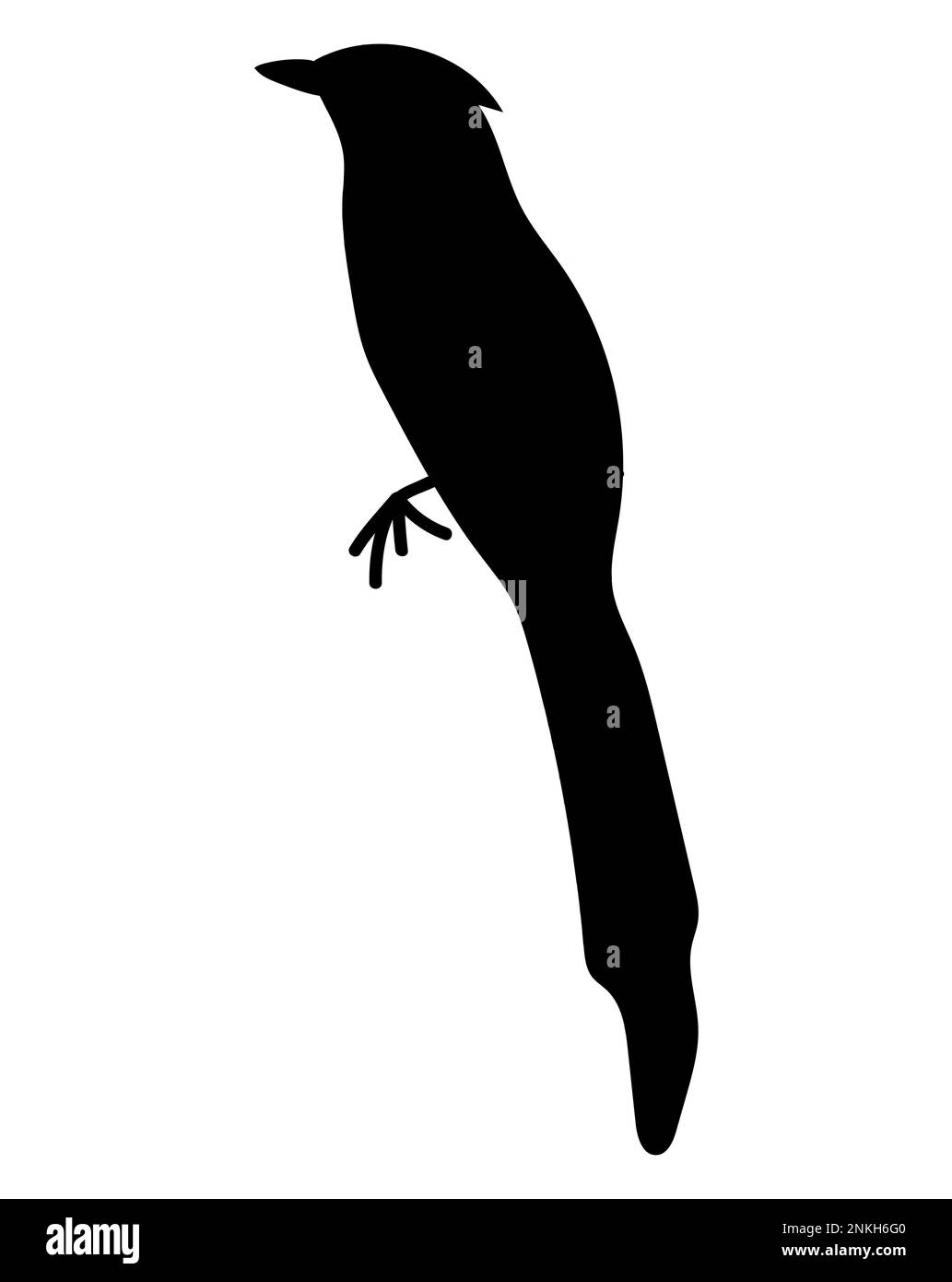 Black silhouette of a Murai bird illustration logo vector, Cempala Kuneng bird, Aceh Indonesian, icon Stock Vector