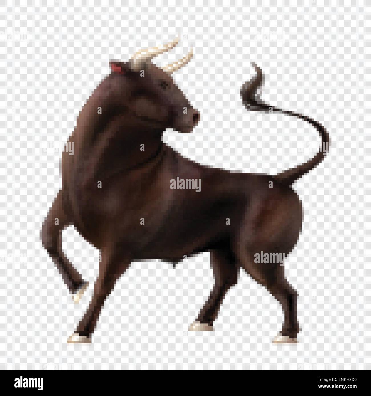 Color bull realistic composition with isolated image of animal with