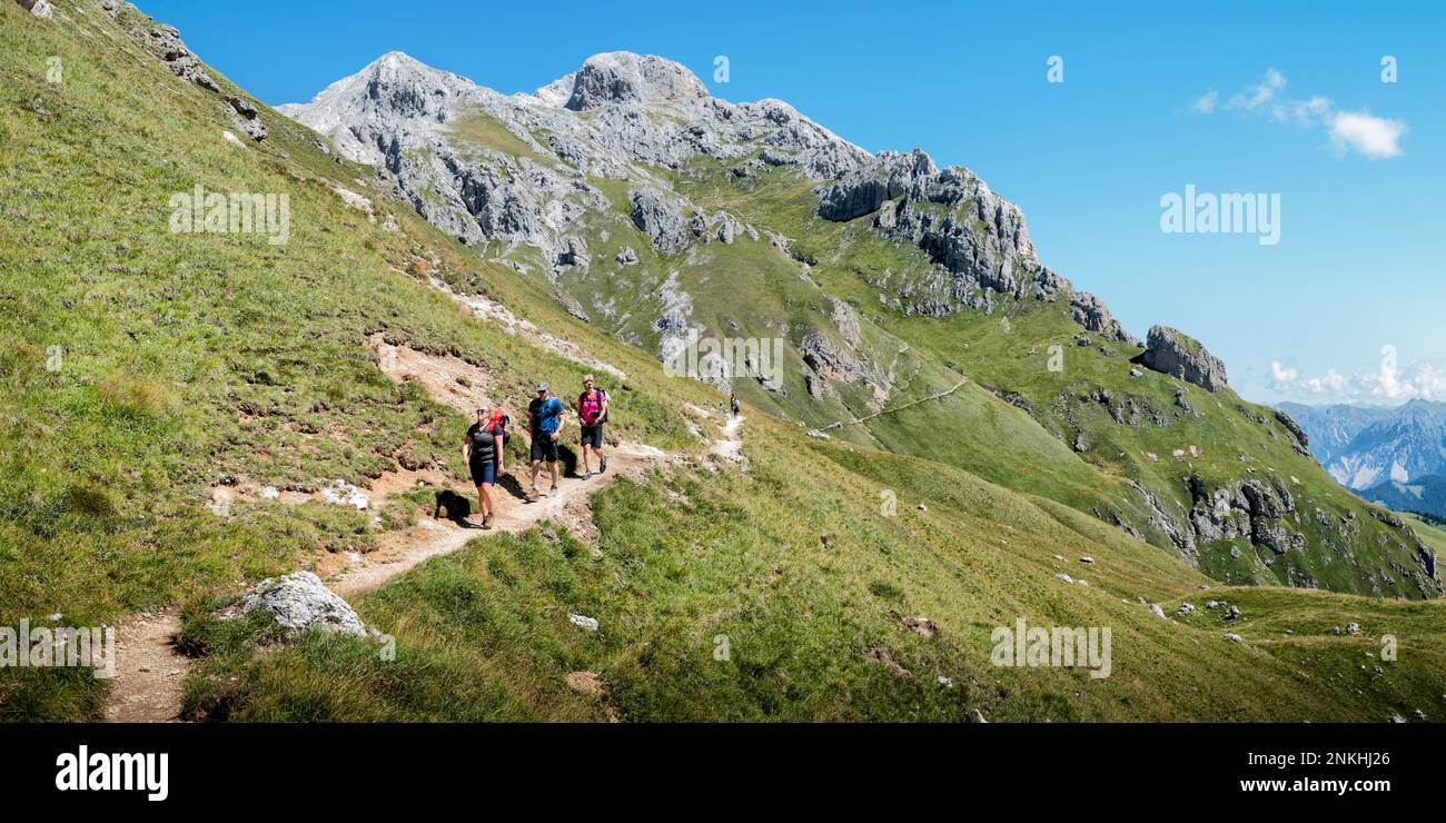 Group senior friends hiking hi-res stock photography and images - Alamy