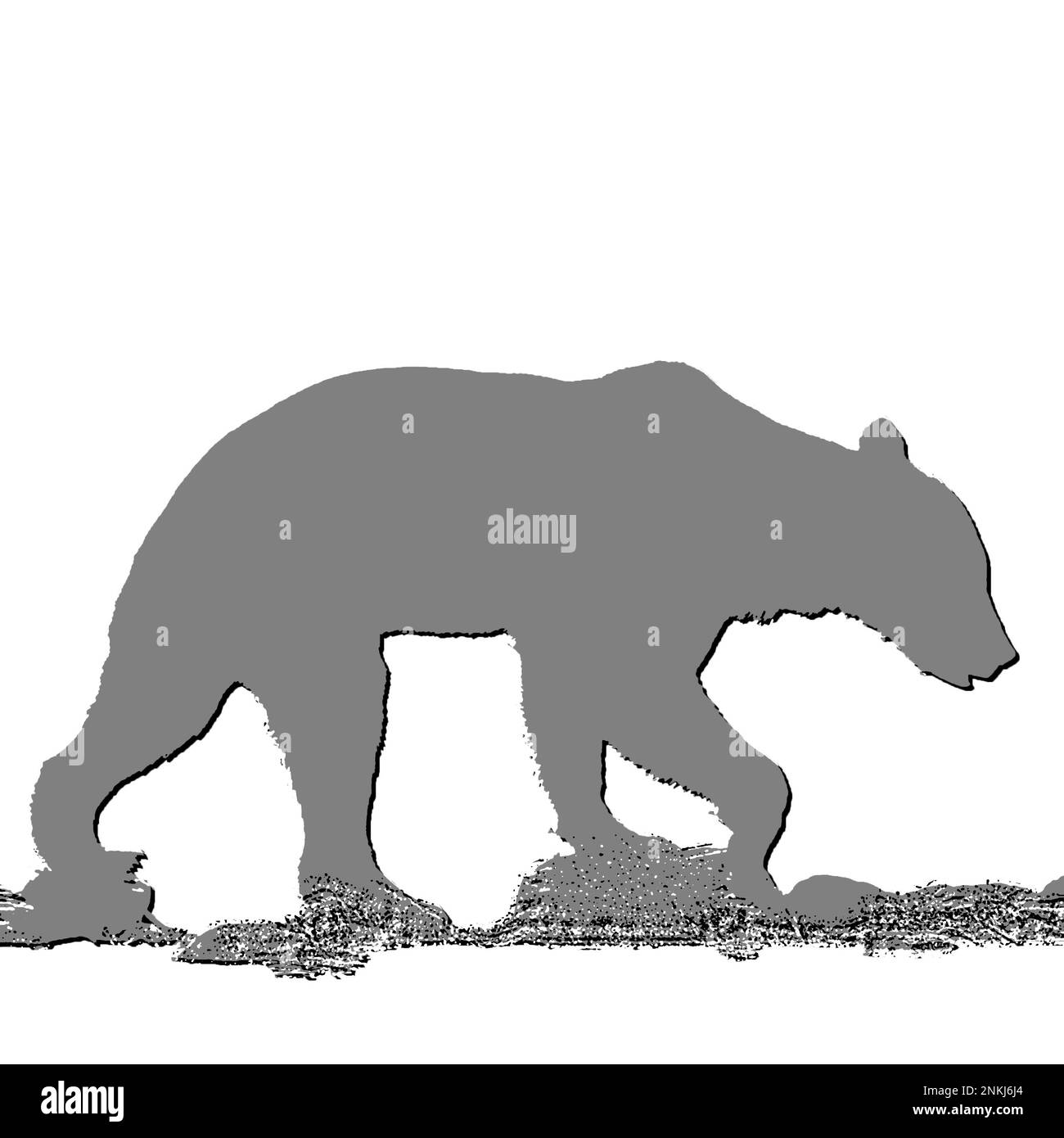 Silhouette of a brown bear on a white background Stock Photo