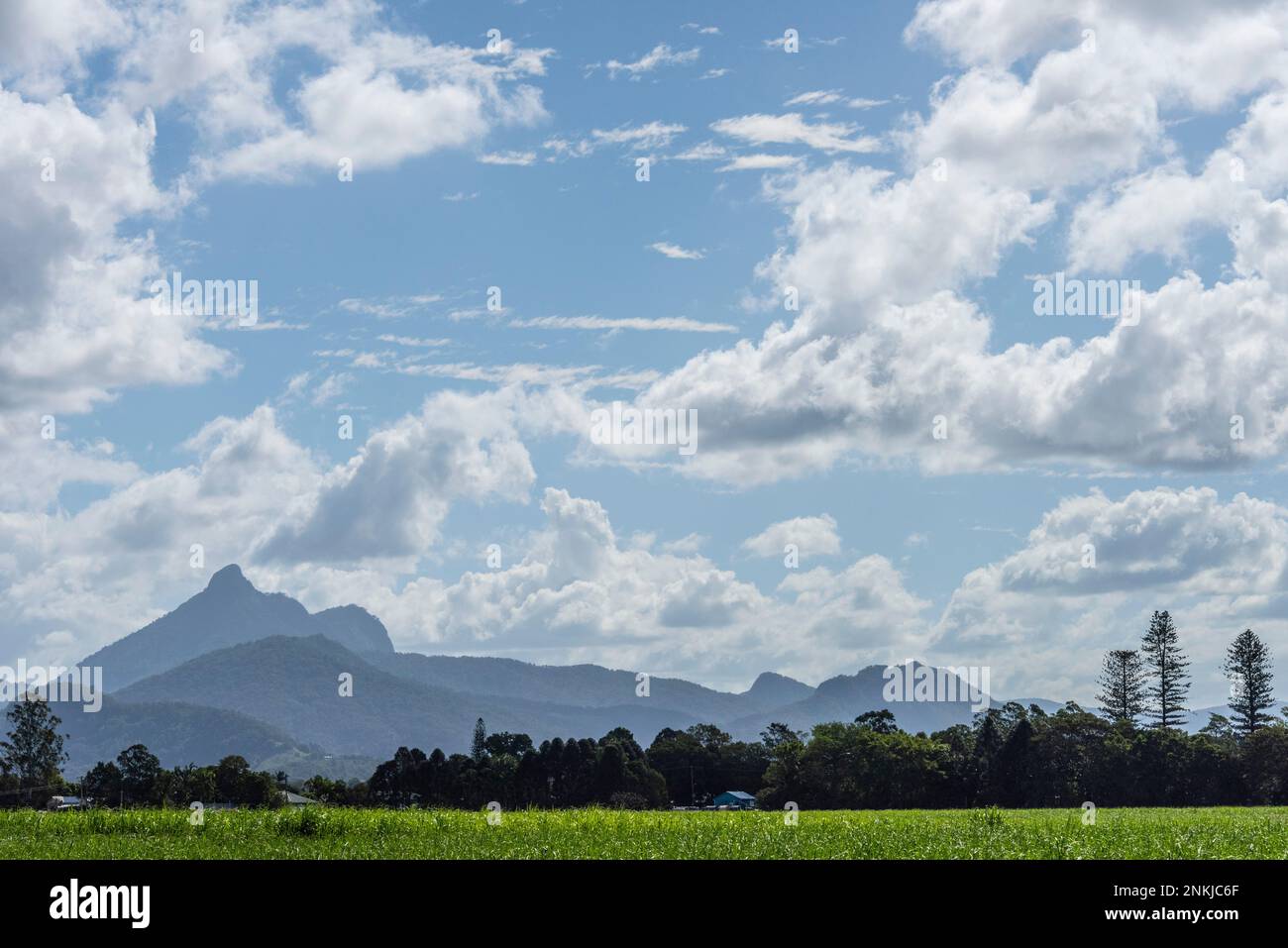 Mount Warning, Wollumbin, near Murwillumbah, new south wales, australia