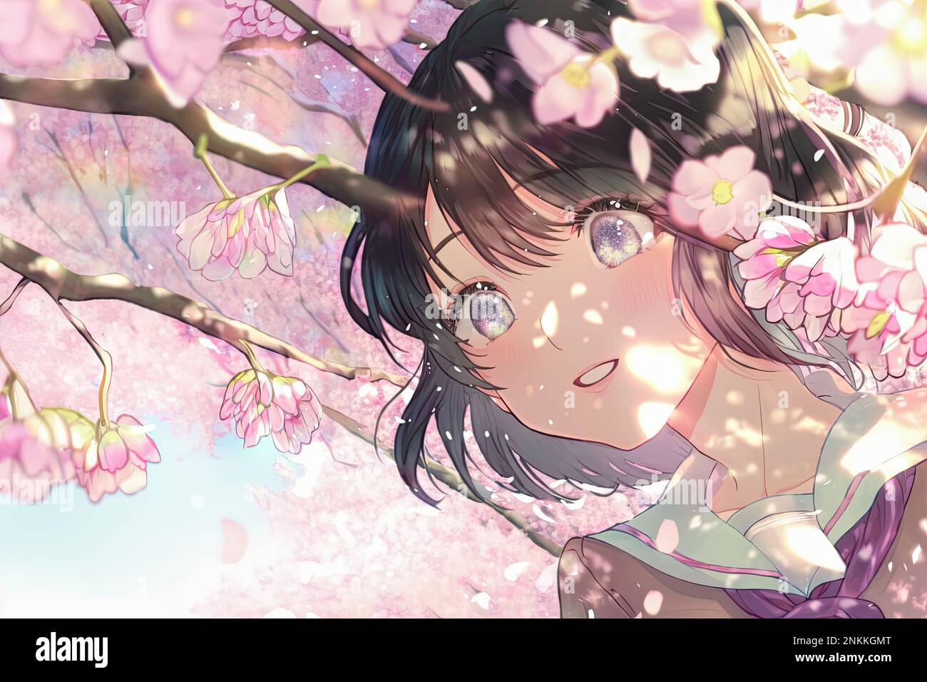 Anime Your Name Cherry Blossom, cherry blossom anime aesthetic HD wallpaper  | Pxfuel