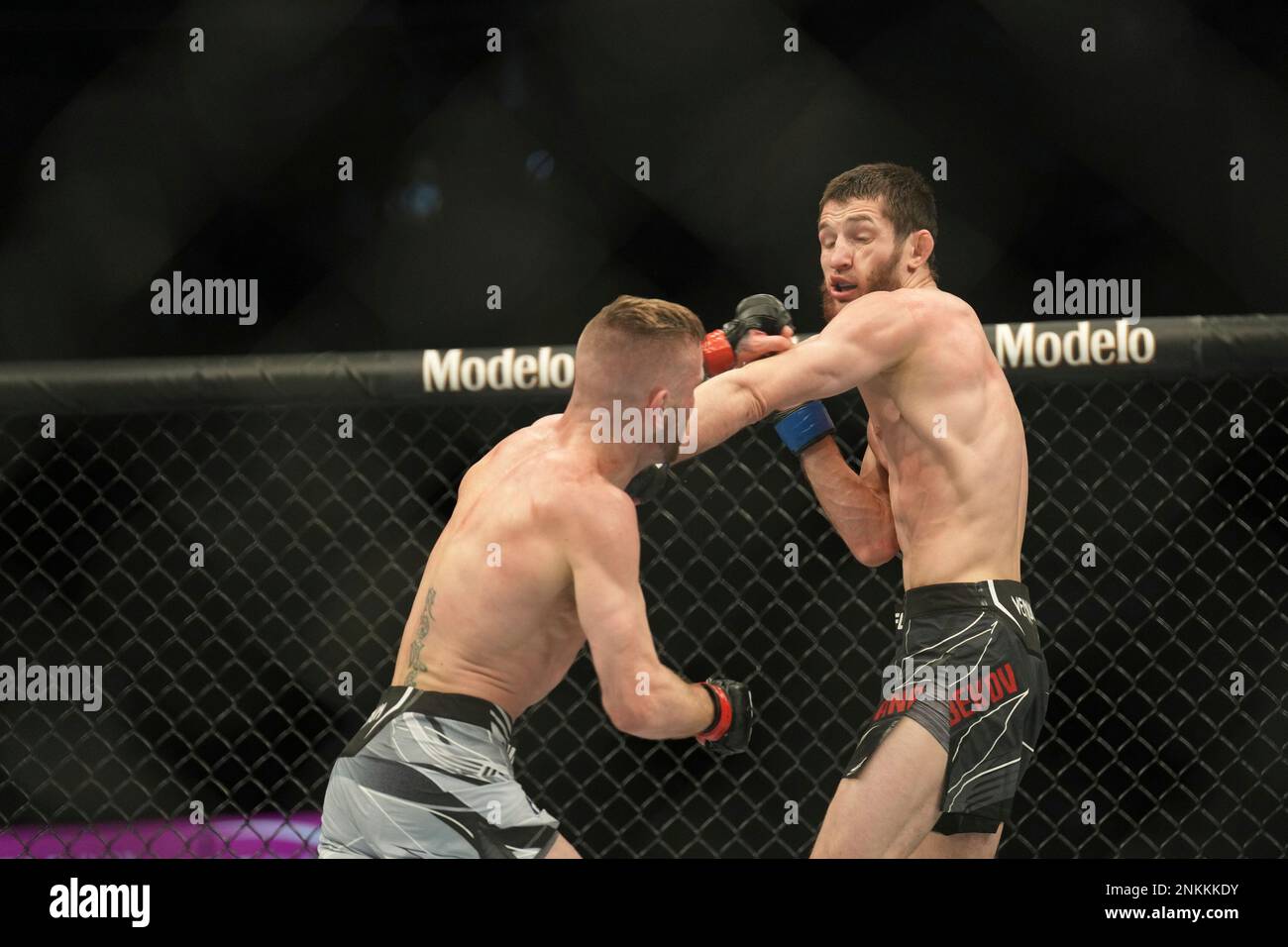 LAS VEGAS, NV - MARCH 05: (L-R) Tim Elliott punches Tagir Ulanbekov in ...
