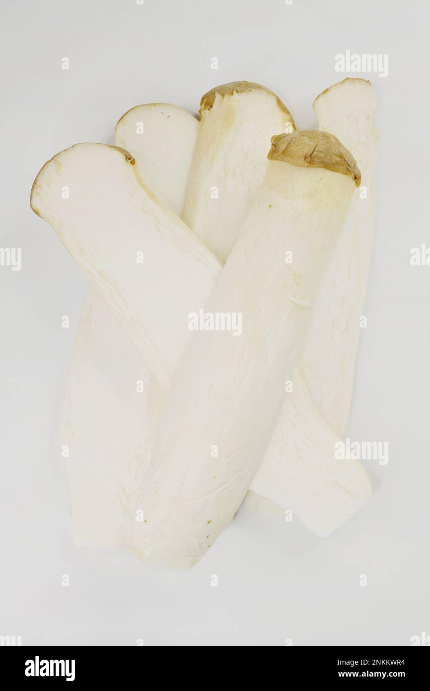 Sliced white King Oyster Mushroom stems, isolated Stock Photo Alamy