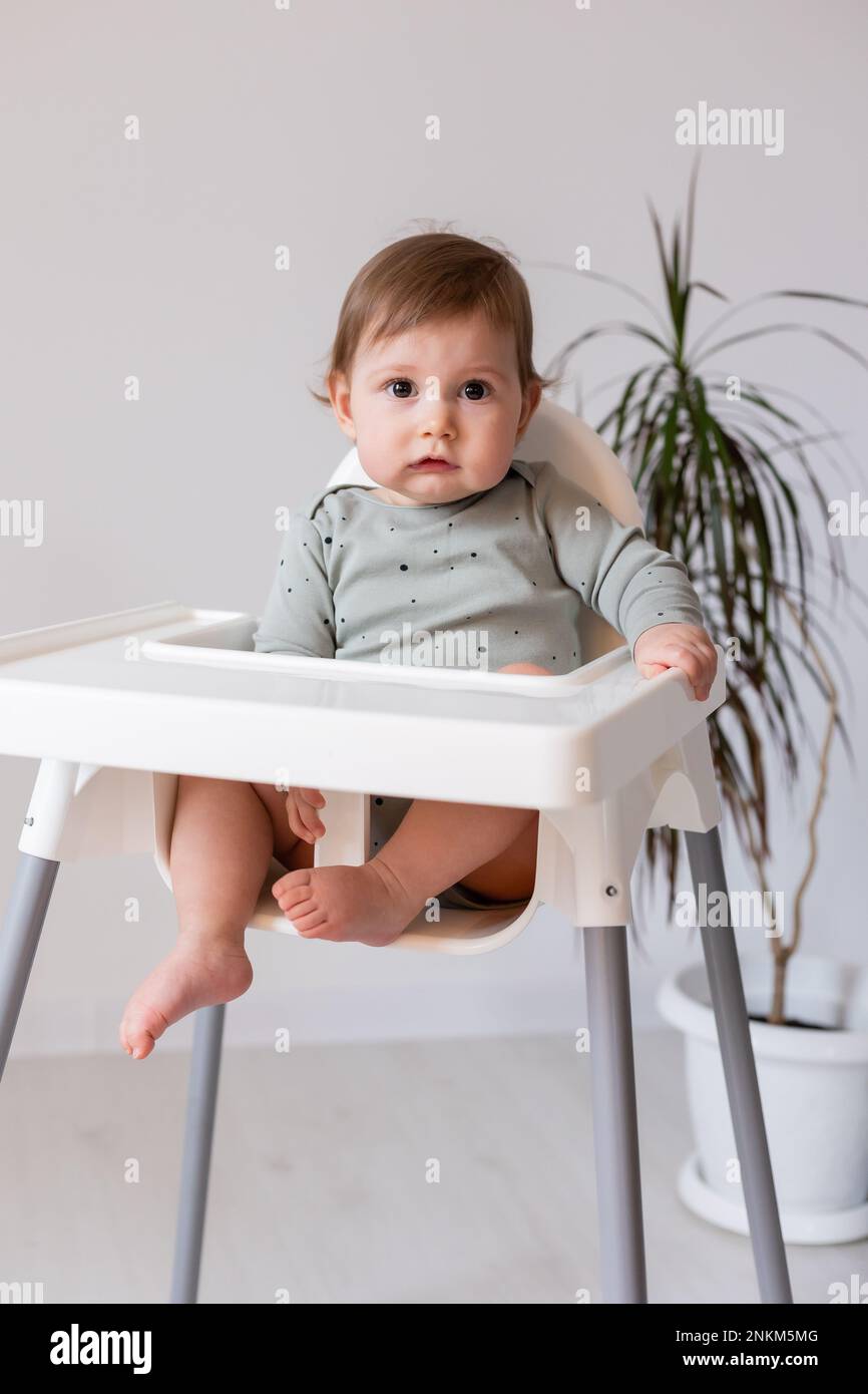 cute baby sitting in high chair, card, banner, space for text. High