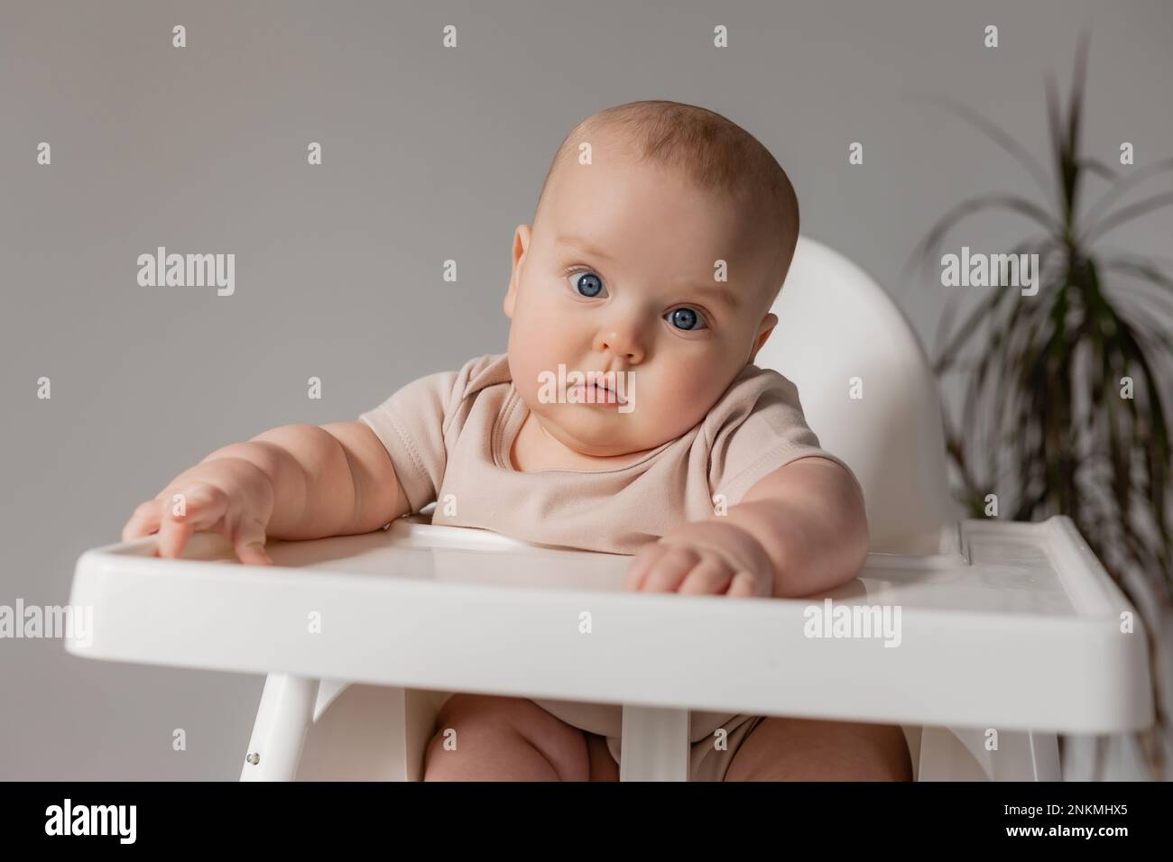 chubby baby in a white bodysuit sits in a white high chair for feeding. High quality photo Stock Photo