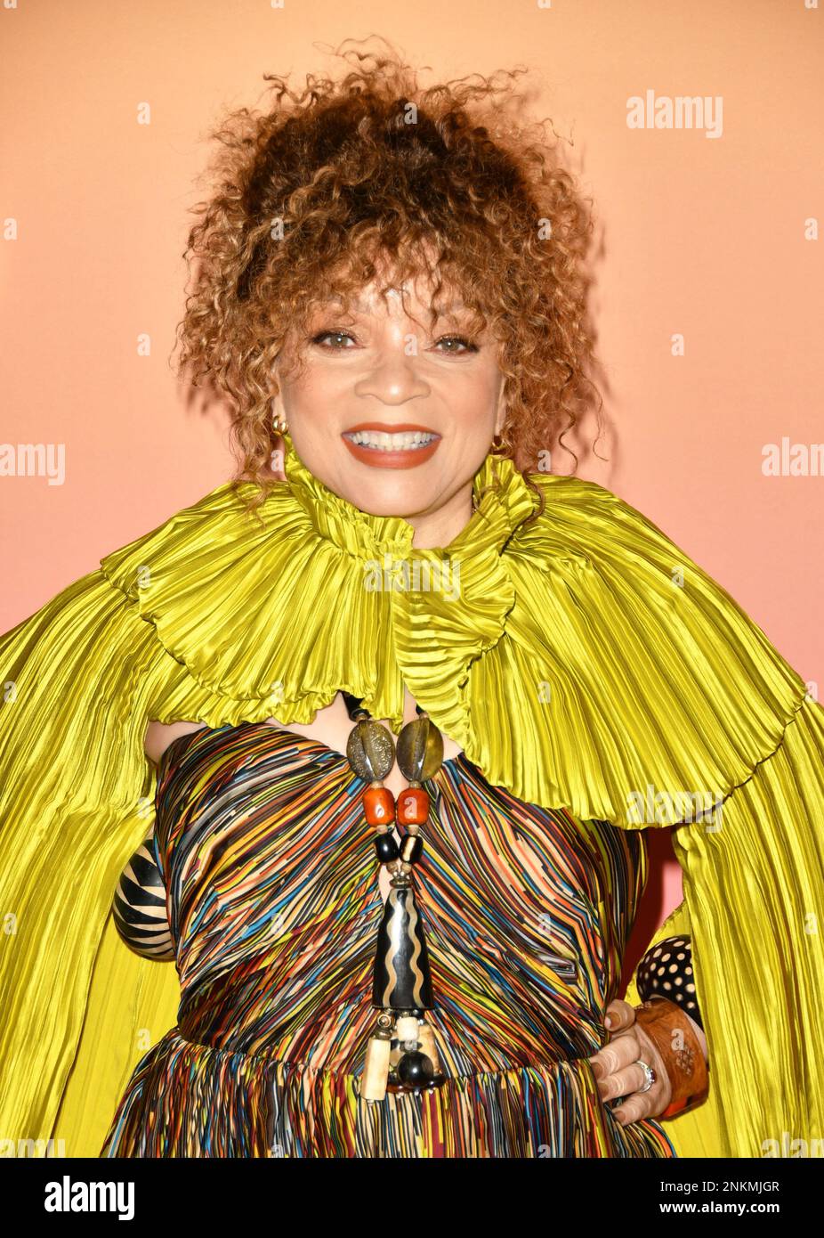 Los Angeles, Ca. 23rd Feb, 2023. Ruth E. Carter attends the 54th NAACP Image Awards Reception & Fashion Show at the Event Deck at LA Live on February 23, 2023 in Los Angeles, California. Credit: Koi Sojer/Snap'n U Photos/Media Punch/Alamy Live News Stock Photo
