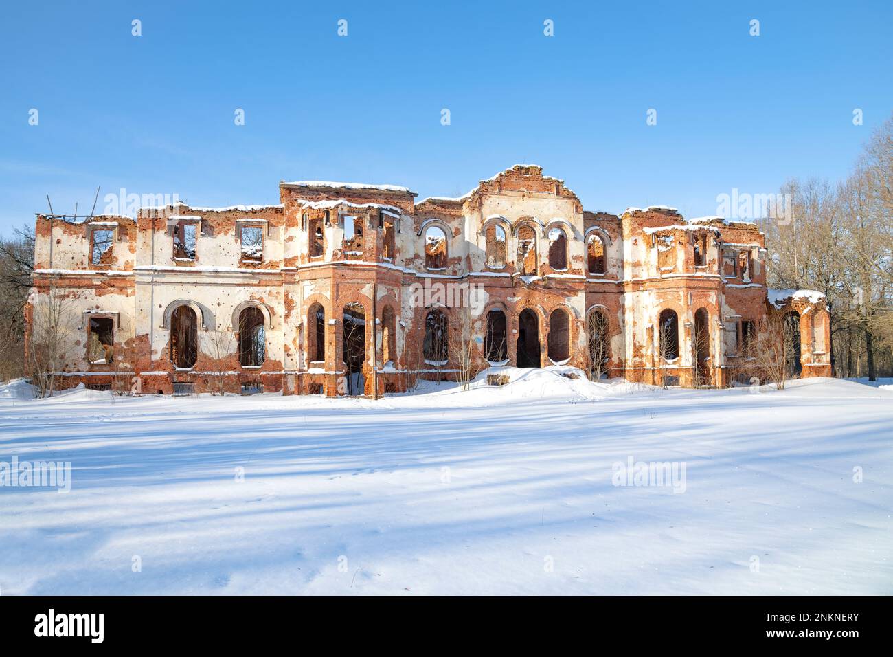 View of the ruins of the ancient Potemkin palace on a sunny February day. Gostilitsy manor. Leningrad region, Russia Stock Photo