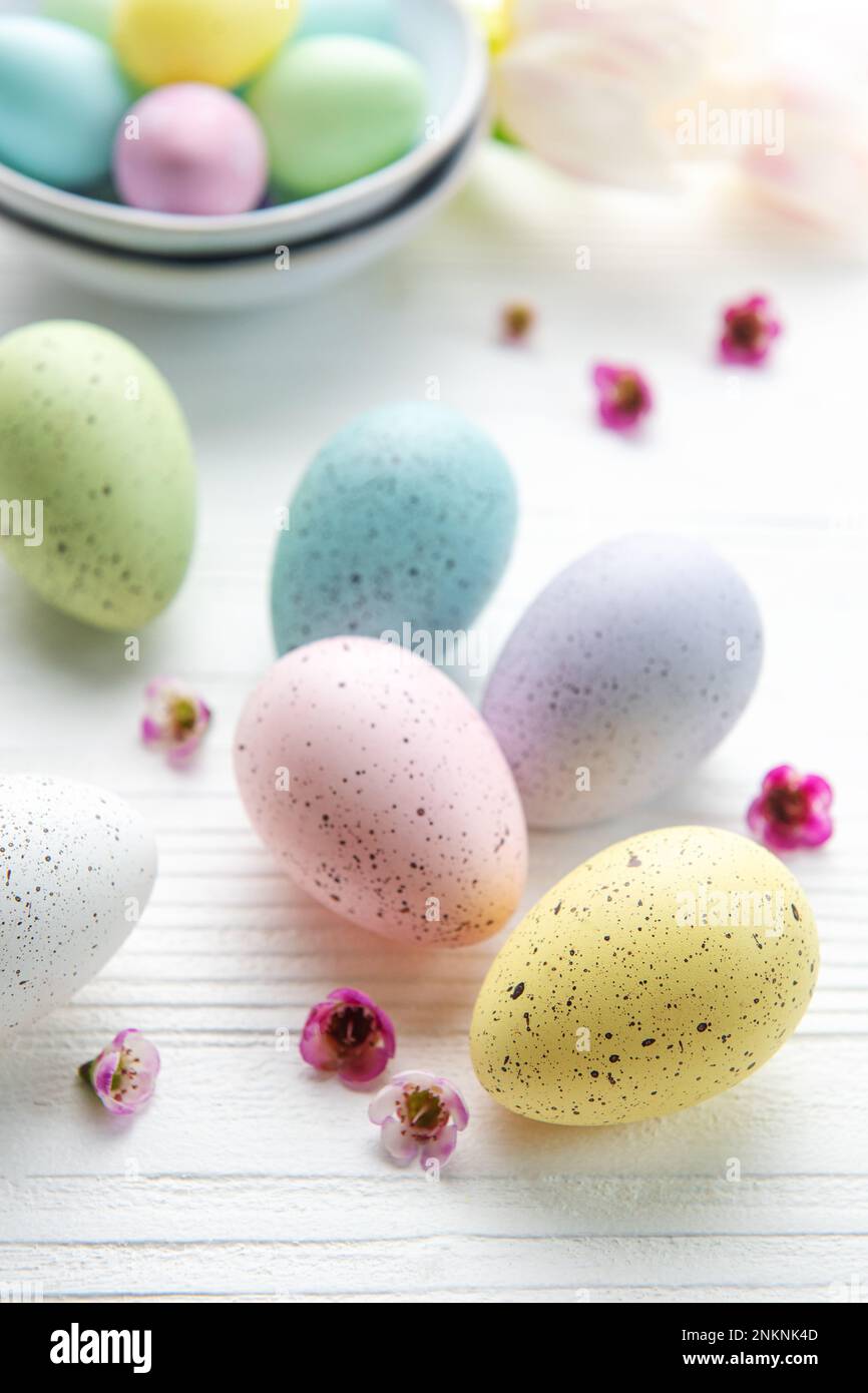 Easter eggs painted pastel colors and pink tulips on a white wooden ...