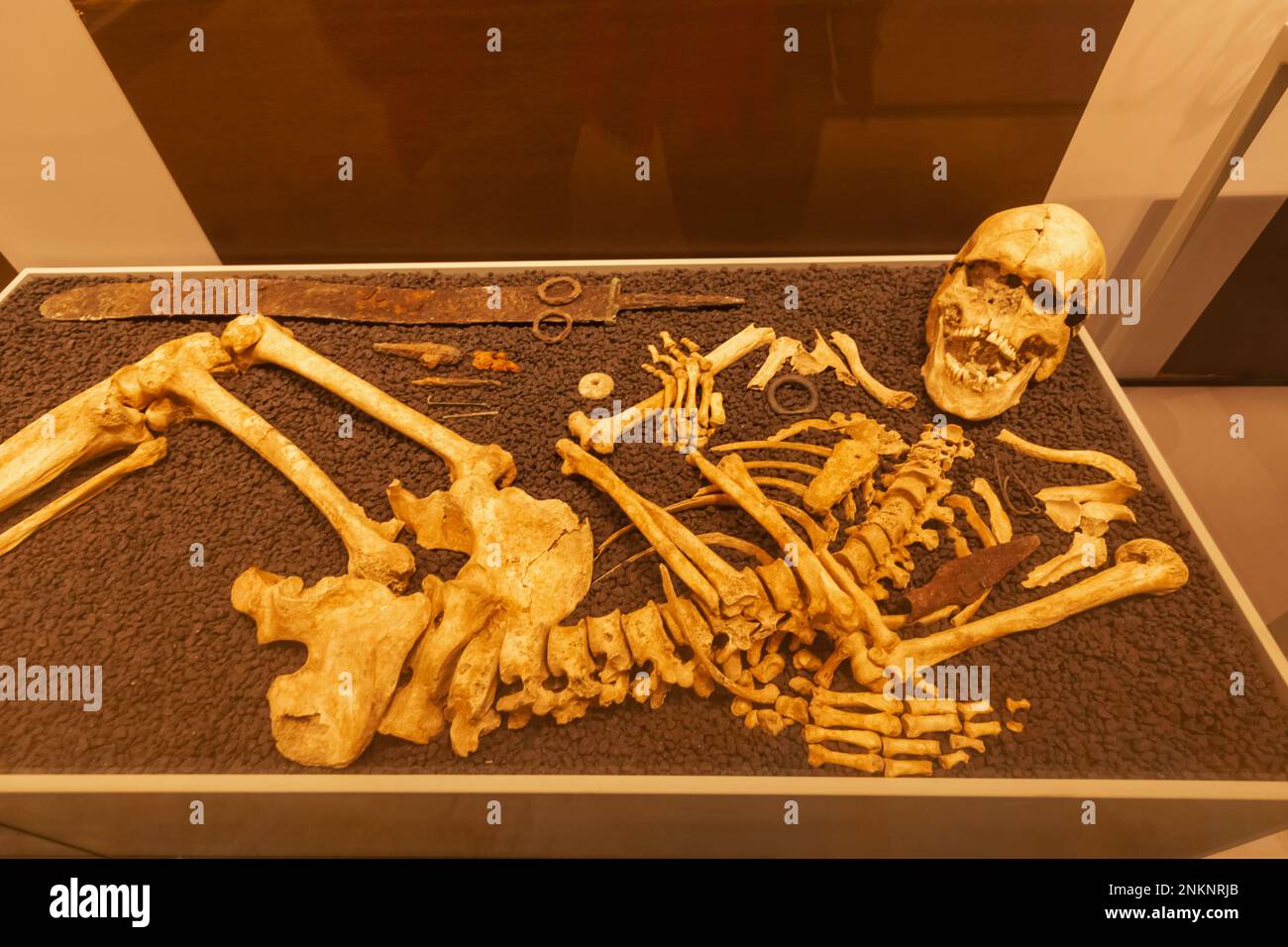 England, Dorset, Dorchester, Dorset Museum, Skeleton of The Whitcombe Warrior Stock Photo