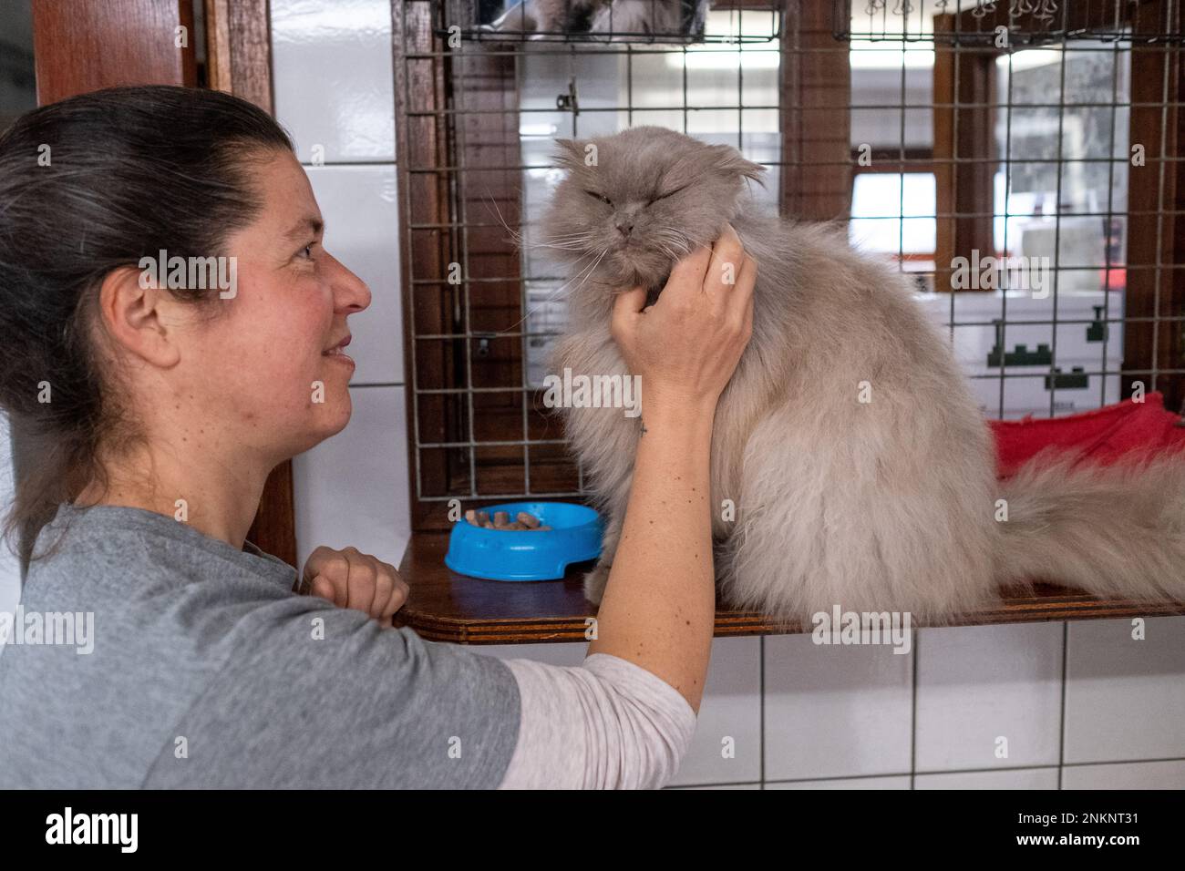 Netherlands, Amsterdam on 20220314. Founded in 1966, De Poezenboot is