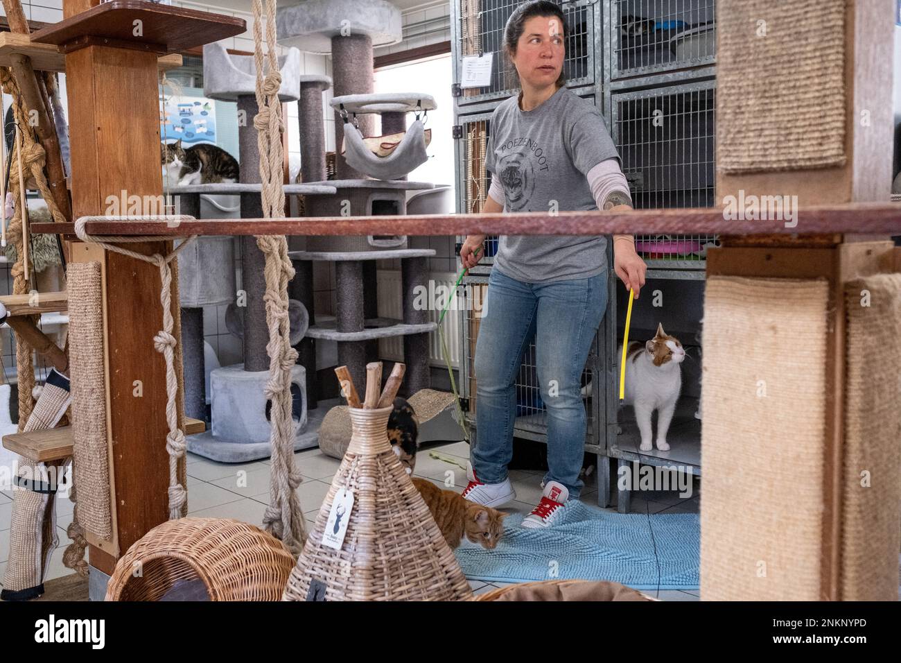 Netherlands, Amsterdam on 20220314. Founded in 1966, De Poezenboot is