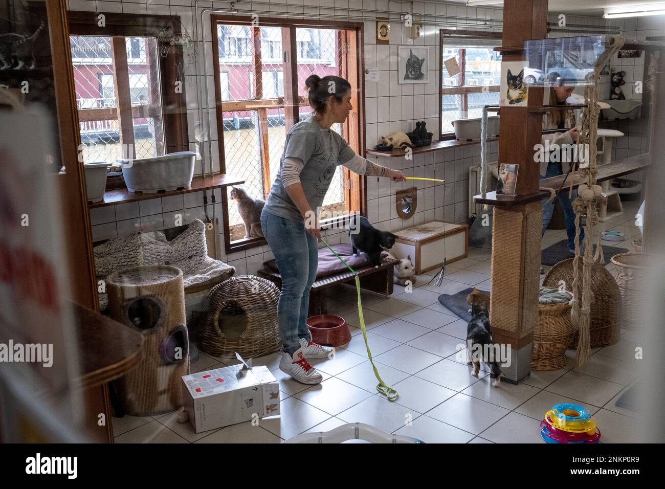 Netherlands, Amsterdam on 20220314. Founded in 1966, De Poezenboot is