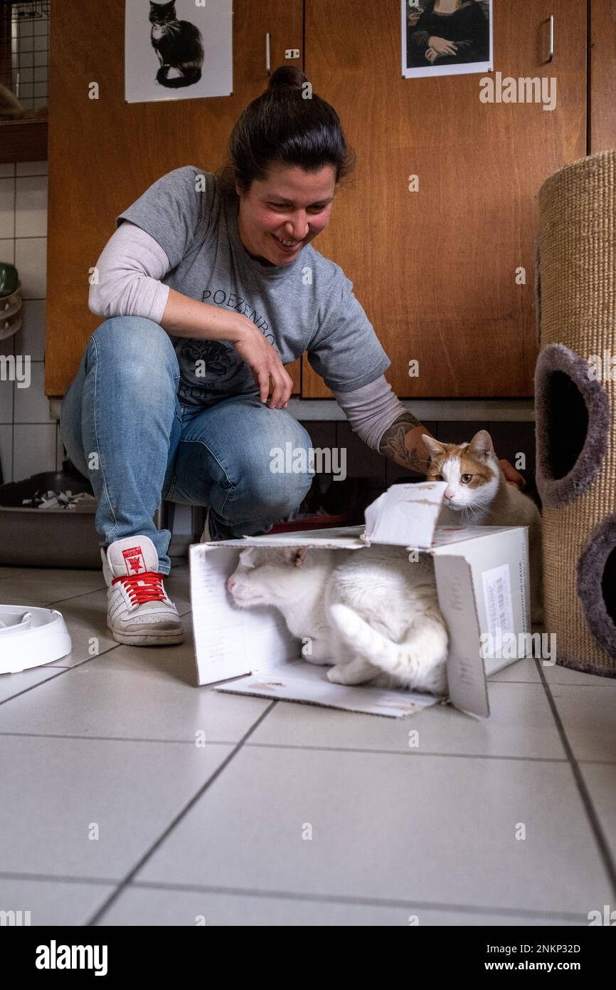 Animal de compagnie de péniche hires stock photography and images Alamy