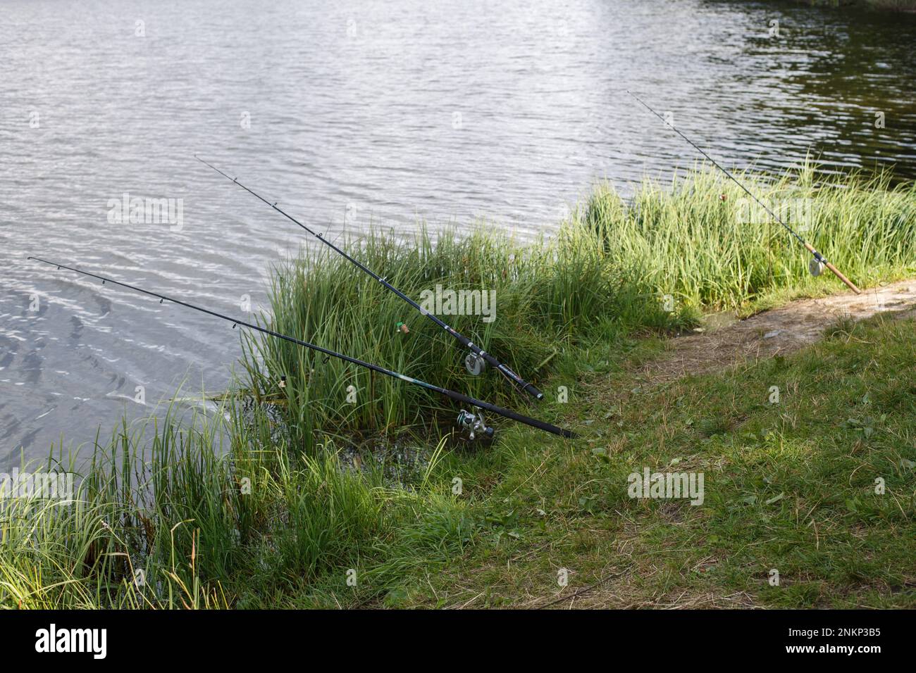 a fishing rods on the lake shore Stock Photo - Alamy