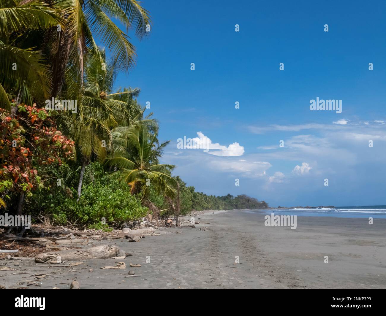 A view of the long empty beach of Playa Grande near Montezuma in Costa Rica Stock Photo