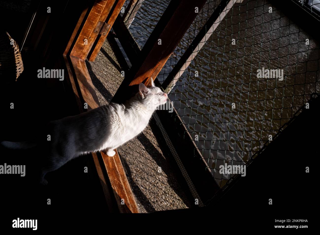 Netherlands, Amsterdam on 20220314. Founded in 1966, De Poezenboot is