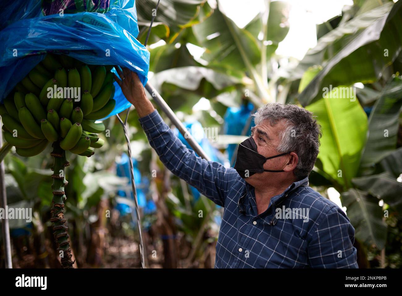 The president of the Association of Farmers (Asociación Palmera de