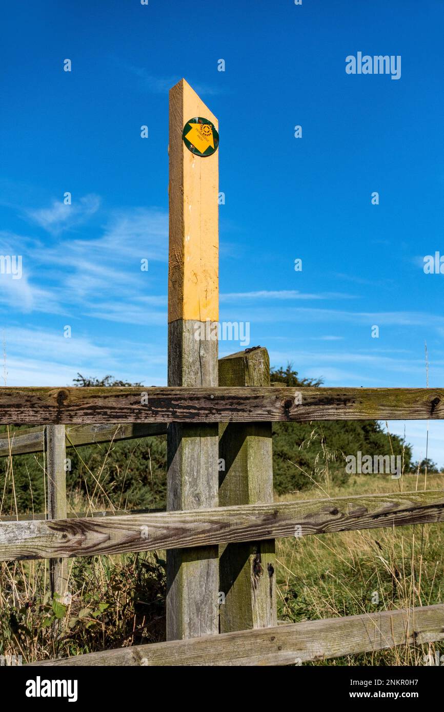 Yellow painted wooden footpath marker post against blue sky with direction arrows, Leicestershire, England, UK Stock Photo