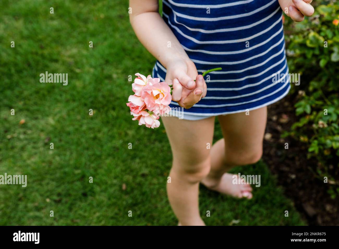 Young girl holding freshly picked flowers in hand Stock Photo