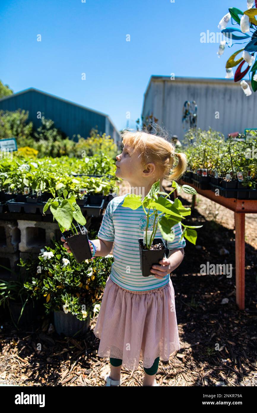 Girl holding two pot plants in nursery Stock Photo Alamy