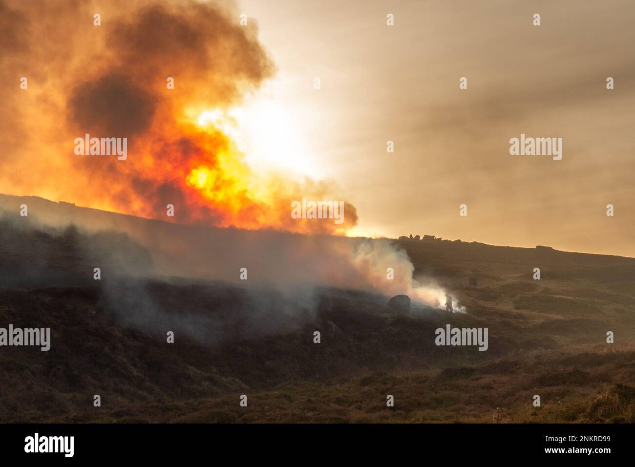 Controlled heather burning by a gamekeeper on Burley Moor in West Yorkshire with a gamekeeper standing in the smoke at sunset. England, UK Stock Photo