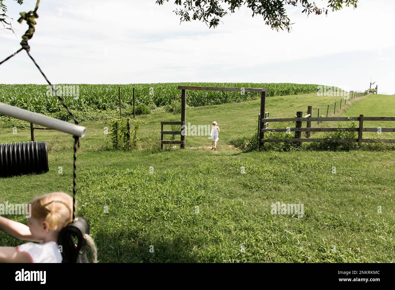 Child kid grass field hi-res stock photography and images - Alamy