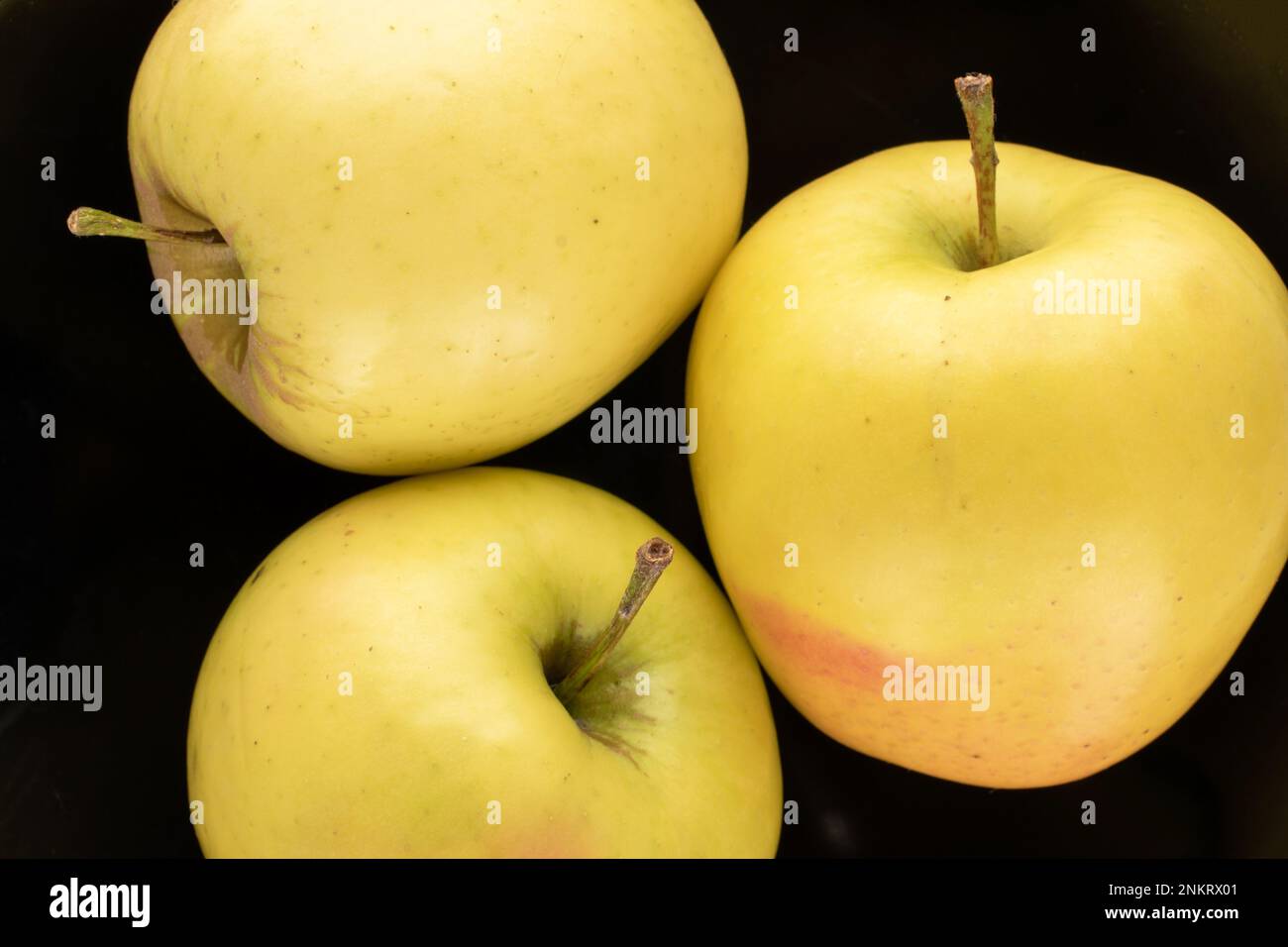 https://c8.alamy.com/comp/2NKRX01/three-yellow-organic-apples-on-a-black-ceramic-plate-macro-top-view-2NKRX01.jpg