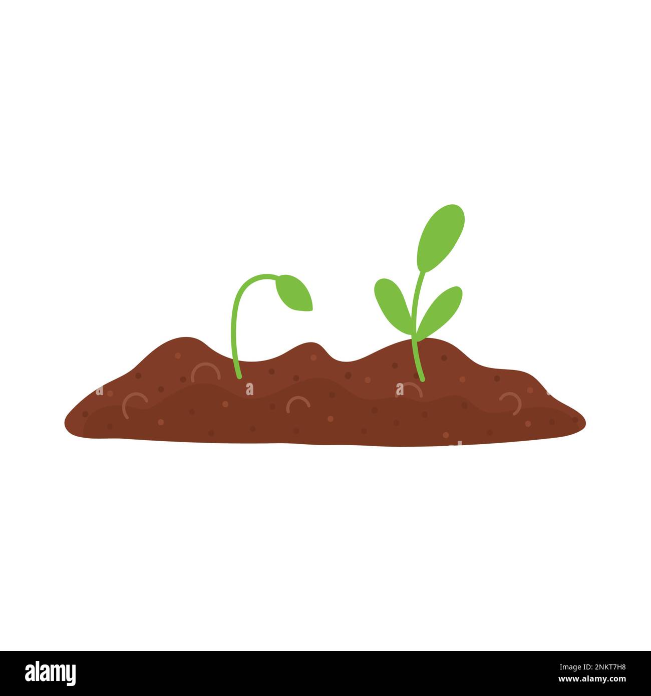 Sprouts field Stock Vector Images Alamy