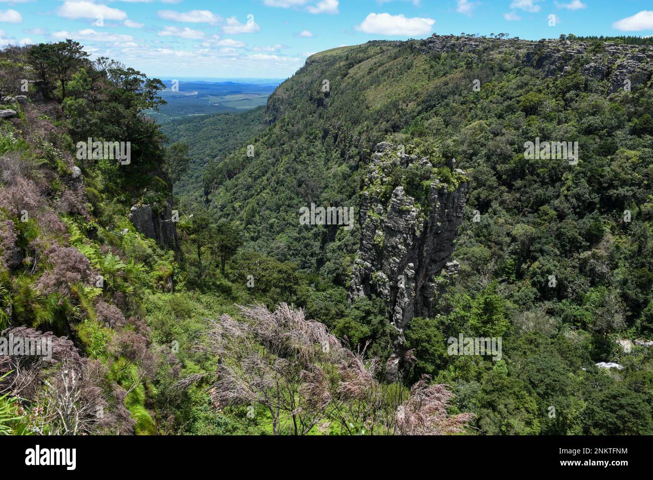 Pinnacle Roc The Pinnacle Rock at Graskop on South Africa Stock Photo - Alamy