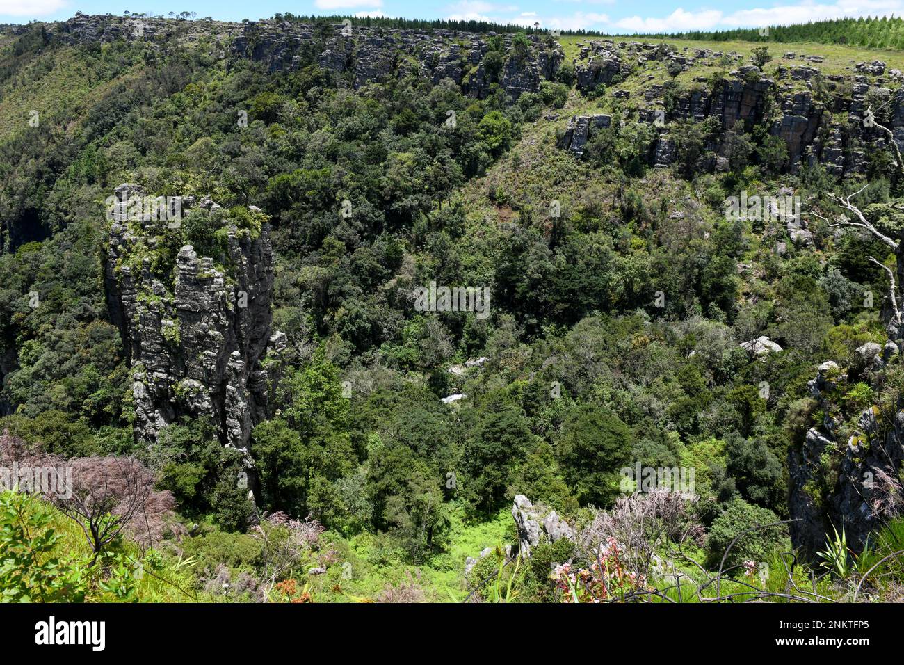 Pinnacle Roc The Pinnacle Rock at Graskop on South Africa Stock Photo - Alamy