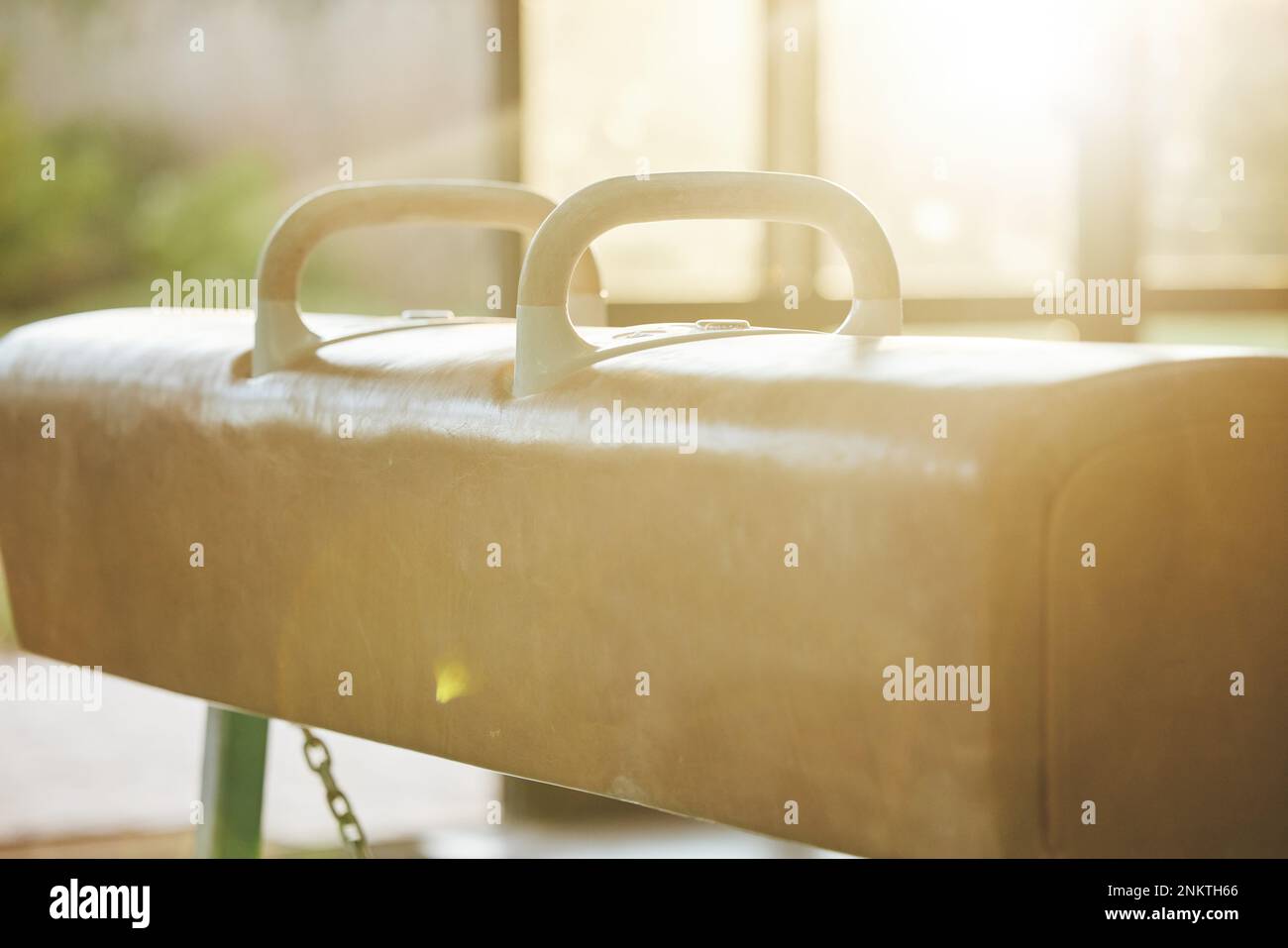 Gymnastics pommel horse in gym, training and equipment, exercise