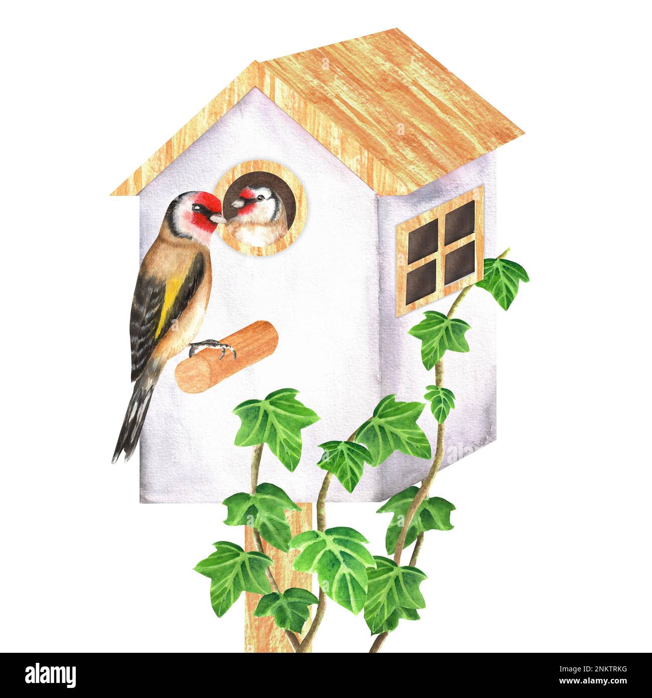 Goldfinch nest Cut Out Stock Images & Pictures - Alamy