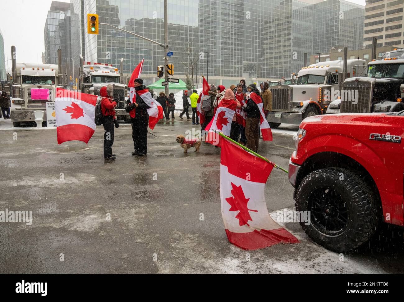 Antimandate protesters block a downtown intersection during a demonstration against COVID19