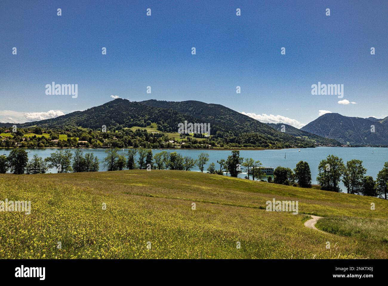 Blick über sanfte grüne Wiese über den Tegernsee,Mangfall-Gebirge,Wandern,,Berge,blauer Himmel,Bäume Stock Photo