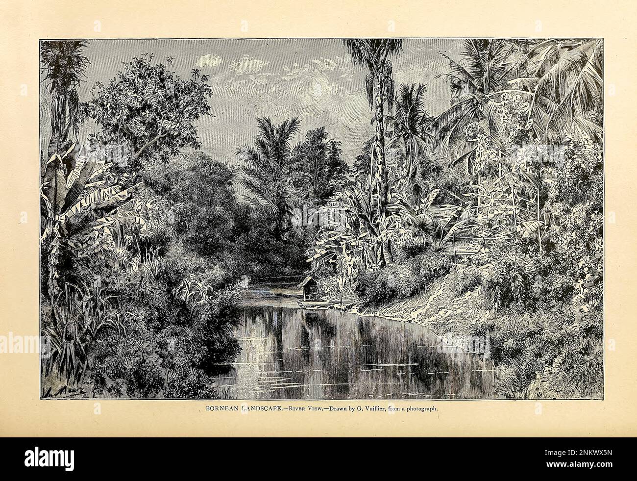 Bornean landscape River view Drawn by Gaston Vuillier Chapter XXI - The Malays from Cyclopedia universal history : embracing the most complete and recent presentation of the subject in two principal parts or divisions of more than six thousand pages by John Clark Ridpath, 1840-1900 Publication date 1895 Publisher Boston : Balch Bros. Volume 6 History of Man and Mankind Stock Photo