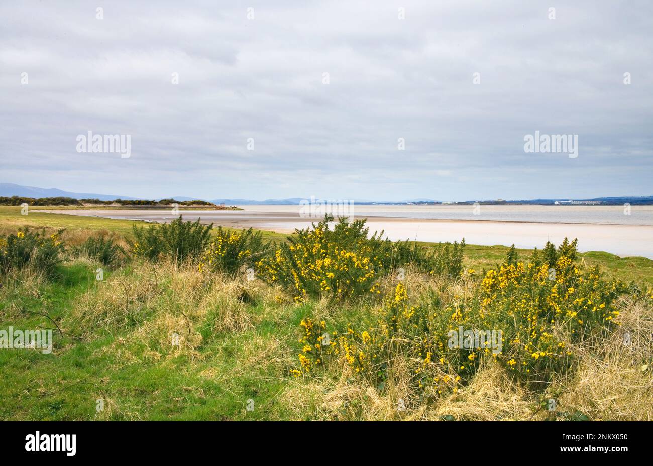 views across the remote solway firth at bowness on solway in cumbria Stock Photo