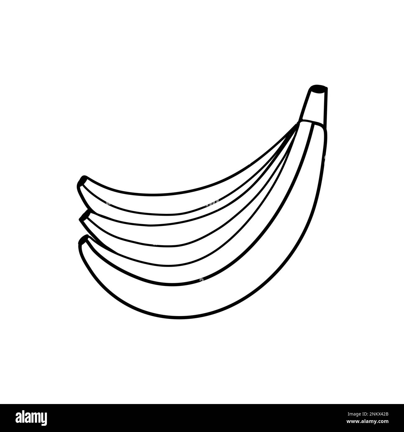 Black and white banana isolated on white background. Linear fruit for coloring book Stock Vector
