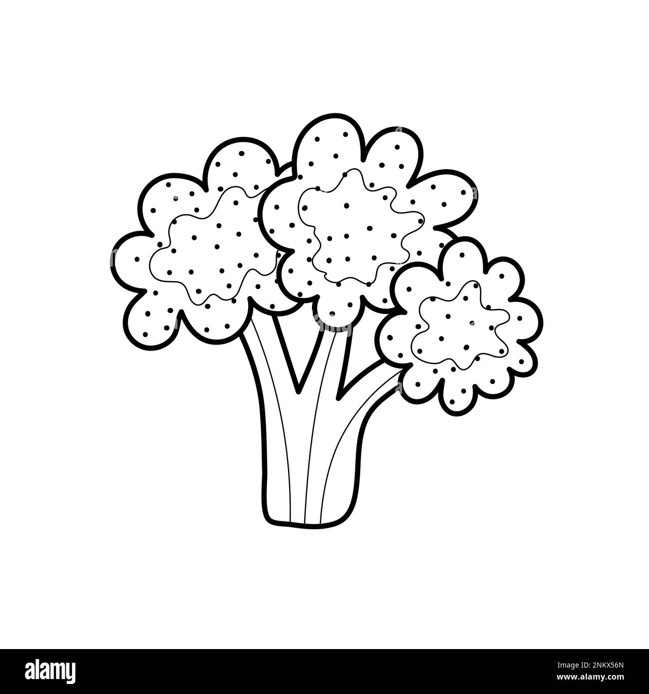 Black and white broccoli isolated on white background. Linear vegetable for coloring book Stock Vector