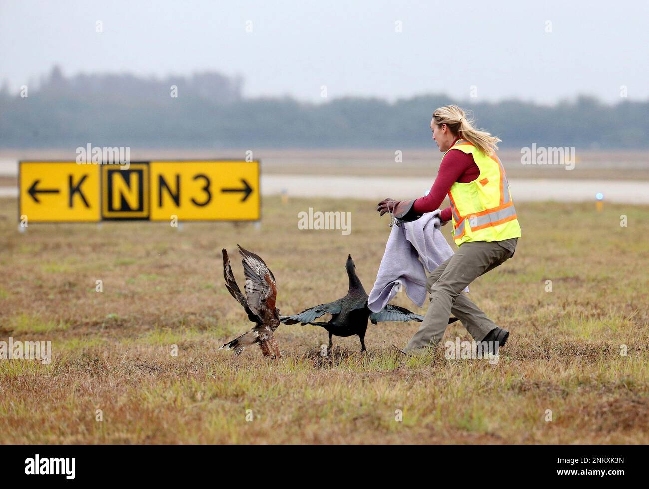 Jackie Hurd, director of operations with Predator Bird Services Inc ...