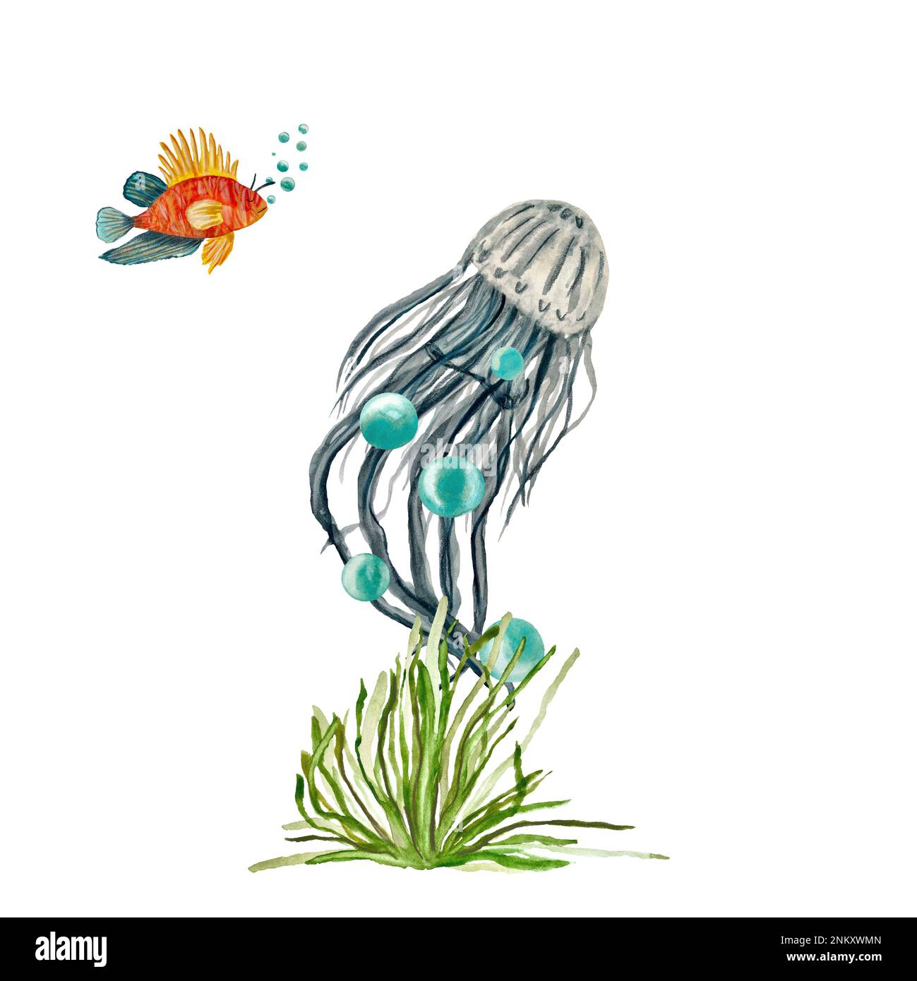 Fish jellyfish seaweed bubble ocean a watercolor Stock Photo Alamy
