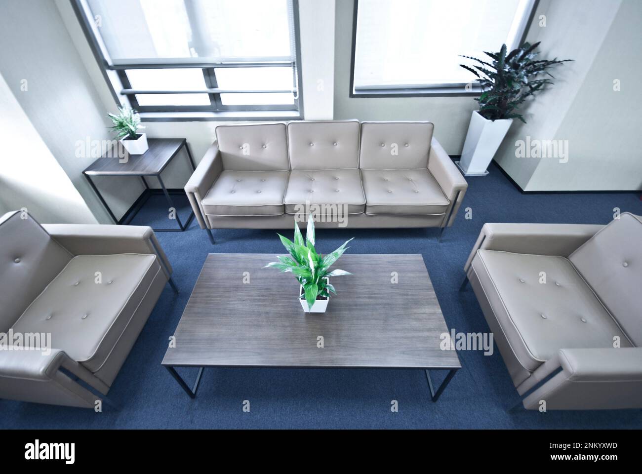 Two comfortable sofas, two coffee tables at a modern office space Stock Photo