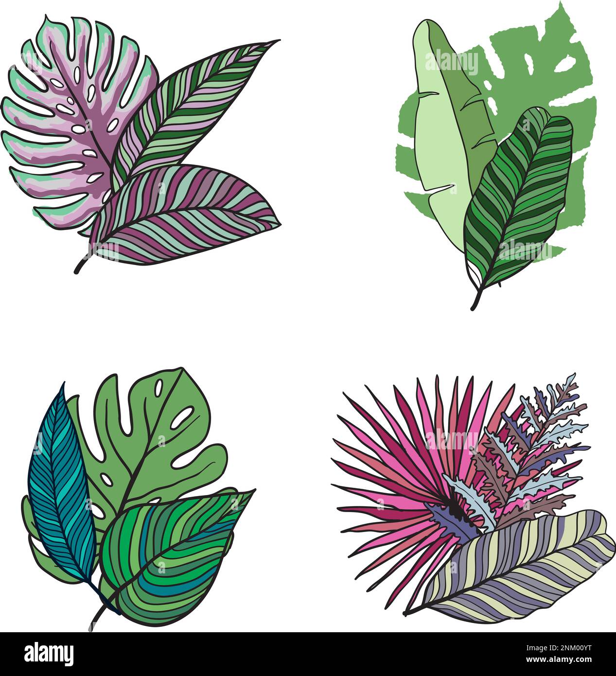 Hand drawn tropical leaves silhouette vector set. Set Leaf. Exotics ...