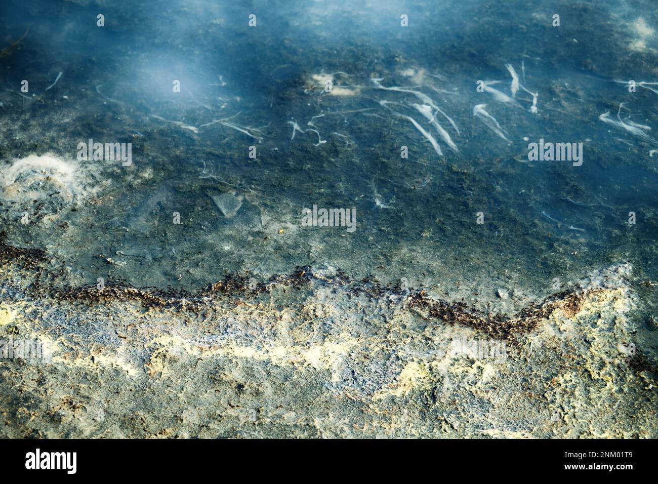 Hydrogen sulfide stagnant salt marsh. Gas turns turbid blue in water on light. All living things die in such an environment. Algae, mosquito larvae ma Stock Photo