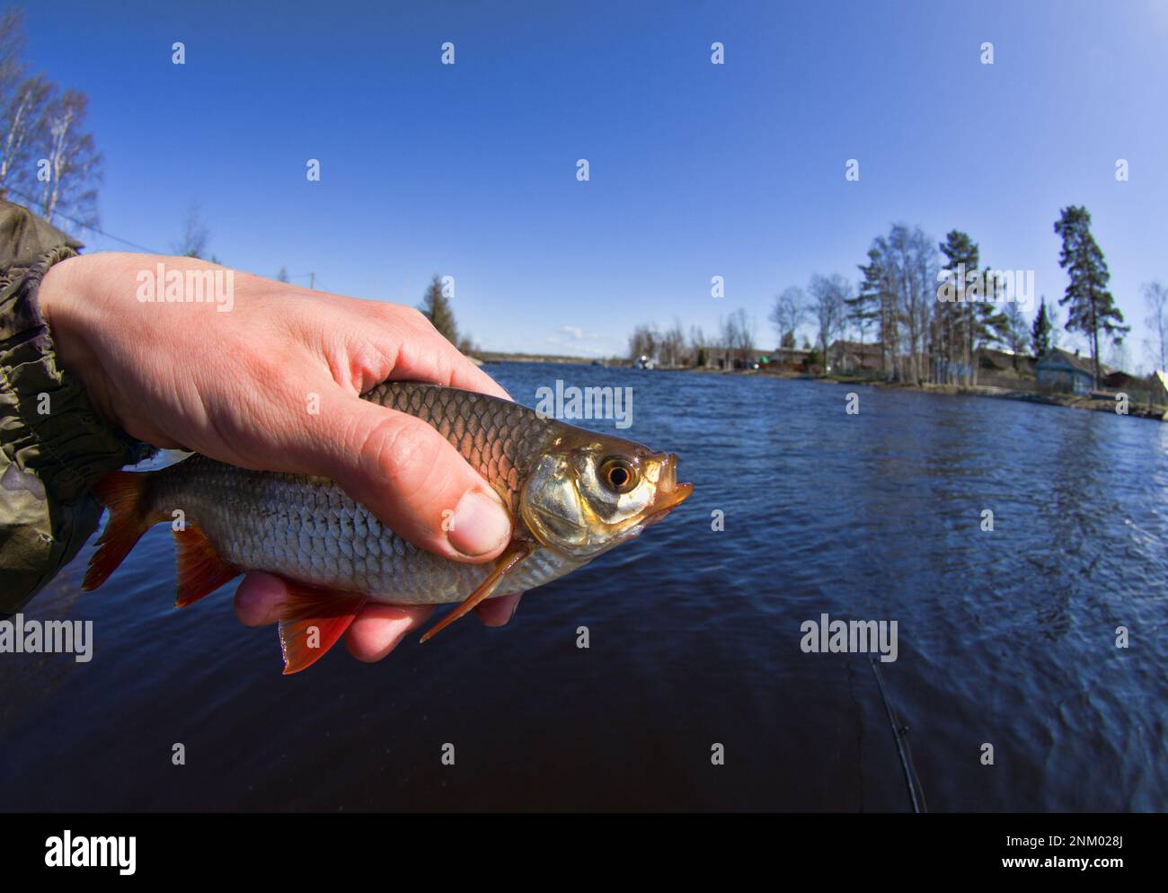 Trink noun float fishing hi-res stock photography and images - Alamy