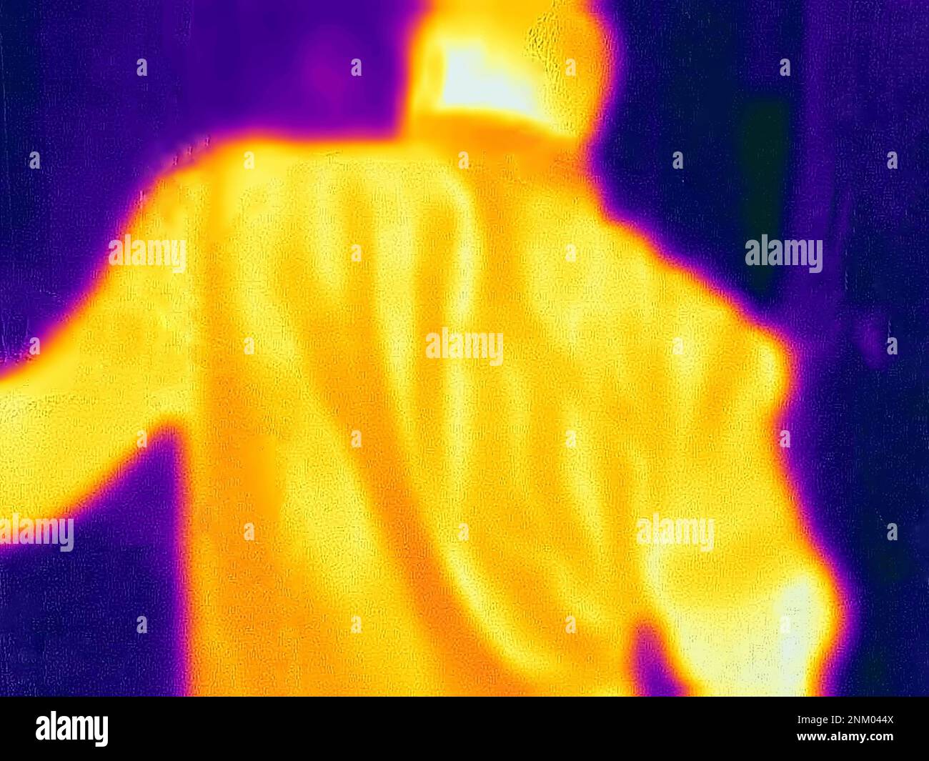The human body captured on thermal imager. The human body of an