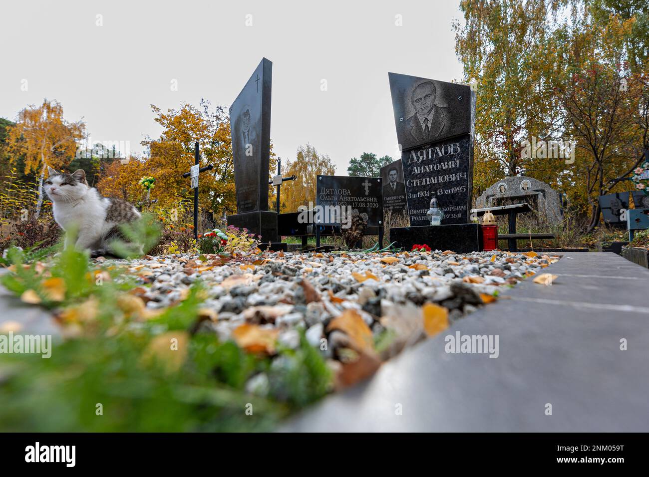 Grave of Anatoly Dyatlov (3. 3. 1931 - 13. 12. 1995) in Kyiv, Ukraine ...