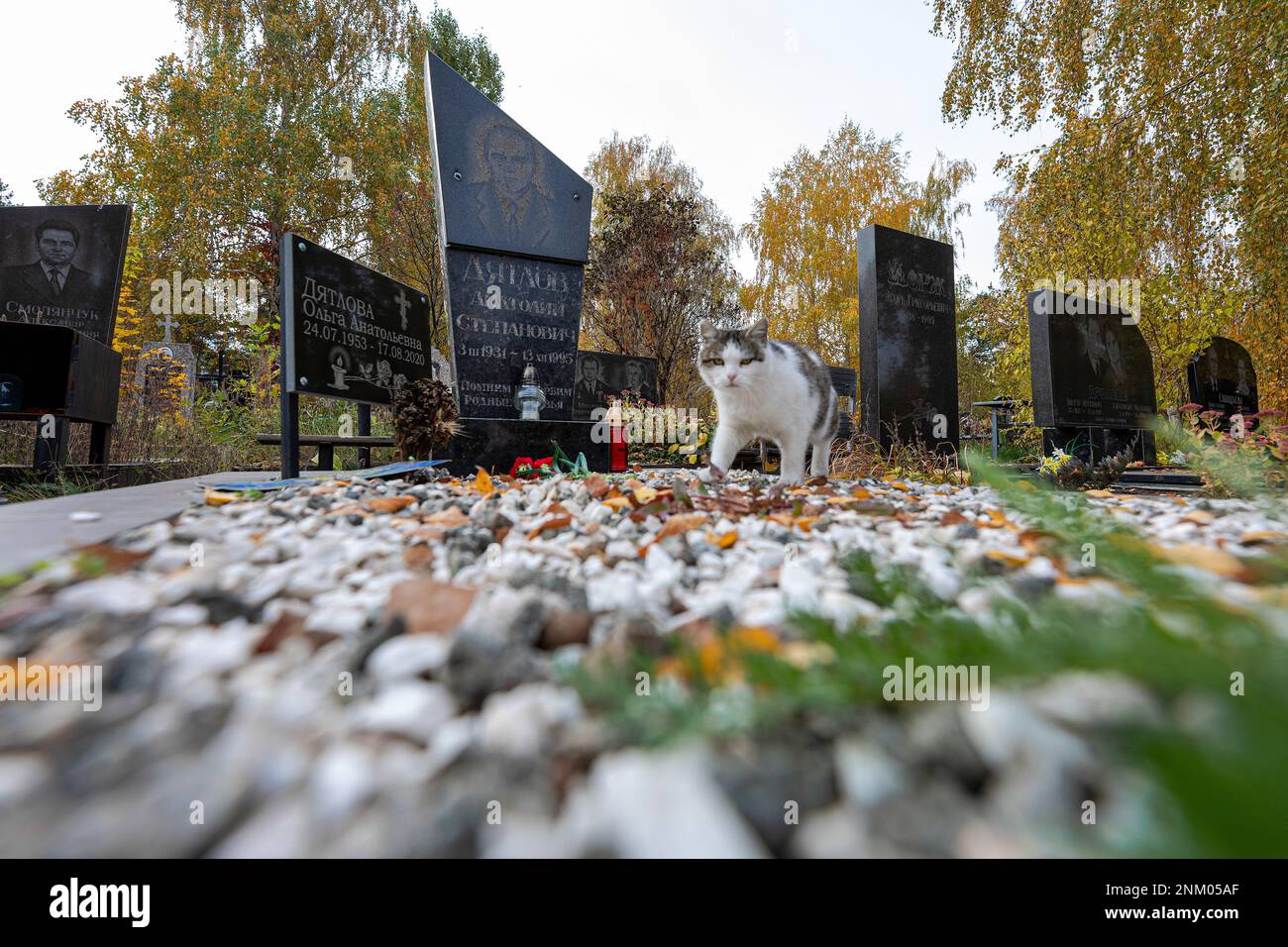 Grave of  Anatoly Dyatlov (3. 3. 1931 - 13. 12. 1995) in Kyiv, Ukraine, October 18, 2021. Dyatlov was Soviet engineer who was the deputy chief enginee Stock Photo