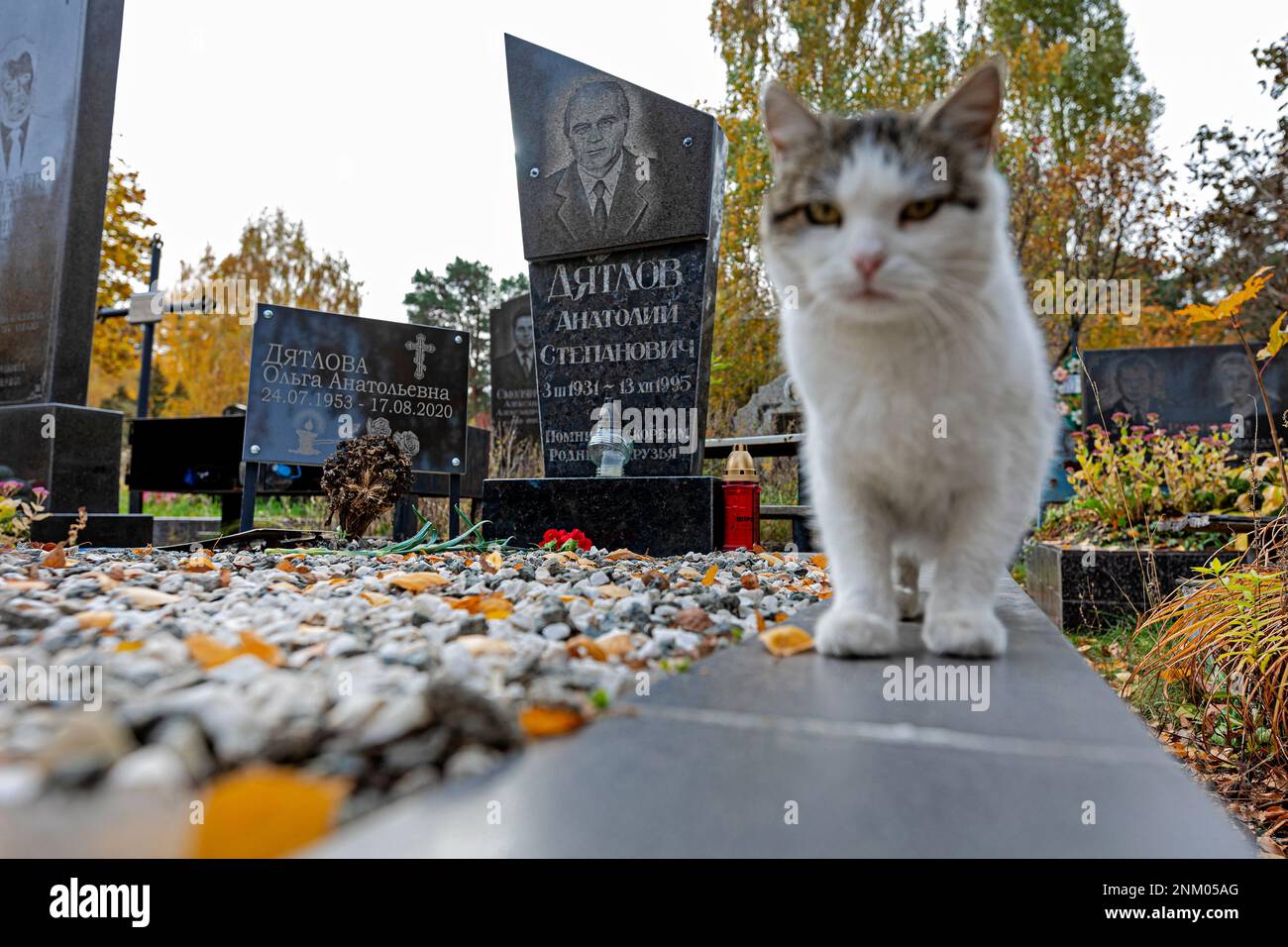 Grave of  Anatoly Dyatlov (3. 3. 1931 - 13. 12. 1995) in Kyiv, Ukraine, October 18, 2021. Dyatlov was Soviet engineer who was the deputy chief enginee Stock Photo